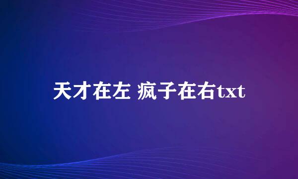 天才在左 疯子在右txt