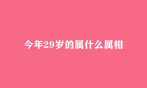 今年29岁的属什么属相