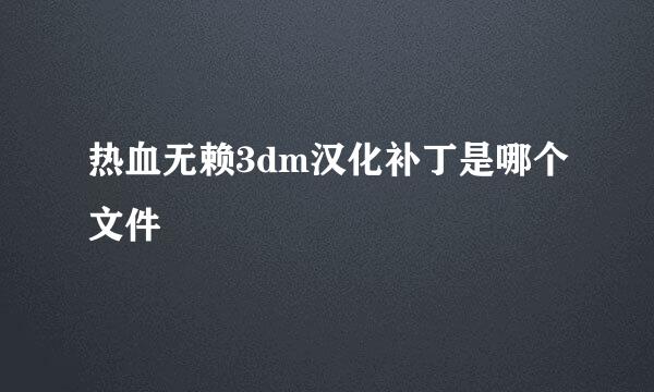 热血无赖3dm汉化补丁是哪个文件