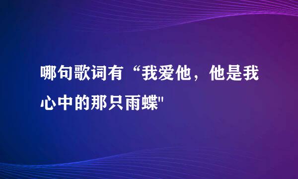 哪句歌词有“我爱他，他是我心中的那只雨蝶