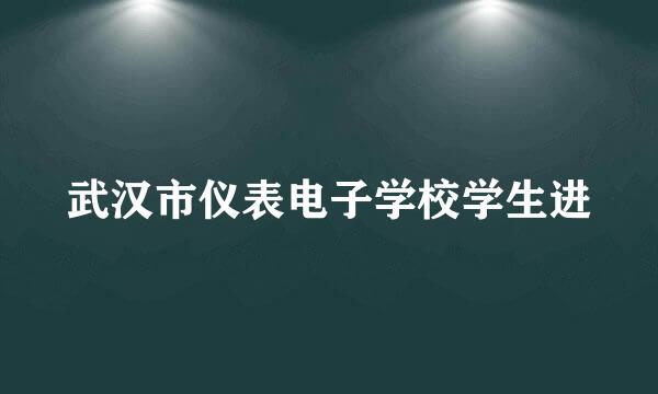 武汉市仪表电子学校学生进