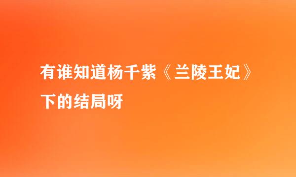 有谁知道杨千紫《兰陵王妃》下的结局呀