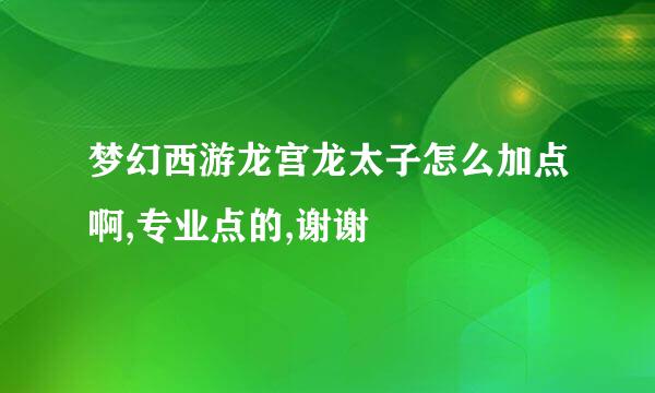 梦幻西游龙宫龙太子怎么加点啊,专业点的,谢谢