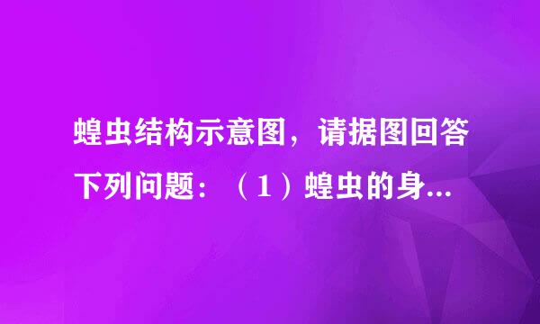 蝗虫结构示意图，请据图回答下列问题：（1）蝗虫的身体分为三个部分：______、______、______．（2）蝗虫