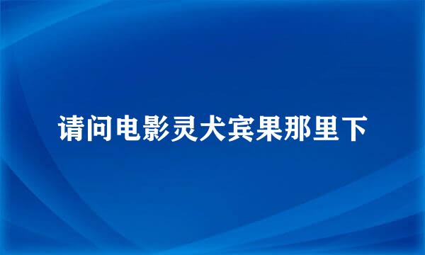 请问电影灵犬宾果那里下