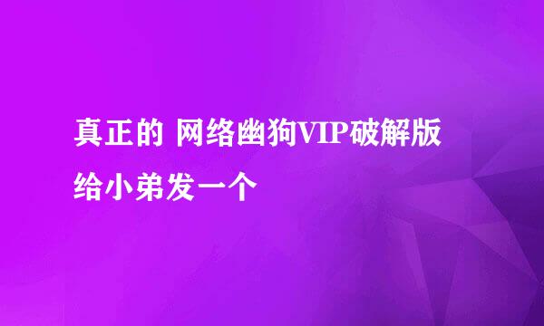 真正的 网络幽狗VIP破解版 给小弟发一个