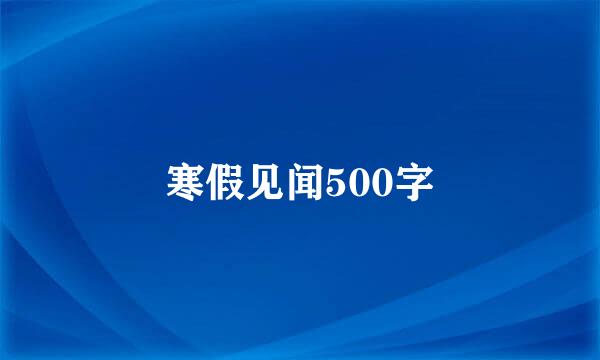 寒假见闻500字