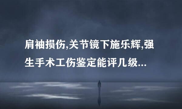 肩袖损伤,关节镜下施乐辉,强生手术工伤鉴定能评几级?又做了左膝半月板修补术？