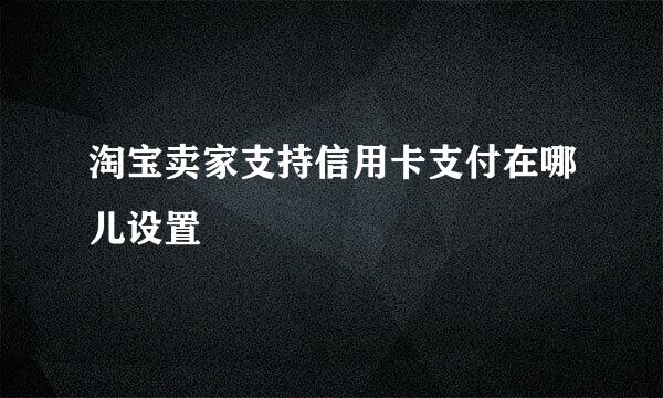 淘宝卖家支持信用卡支付在哪儿设置