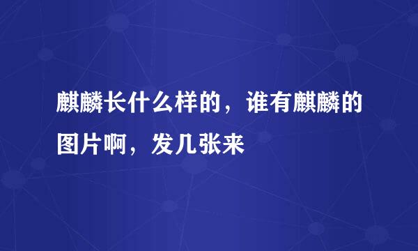 麒麟长什么样的，谁有麒麟的图片啊，发几张来