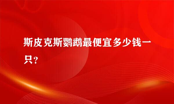 斯皮克斯鹦鹉最便宜多少钱一只？