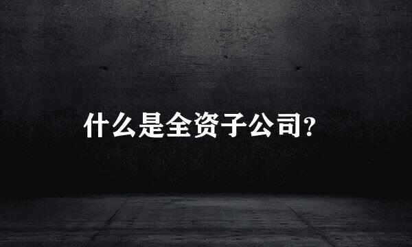 什么是全资子公司？