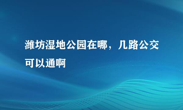 潍坊湿地公园在哪，几路公交可以通啊