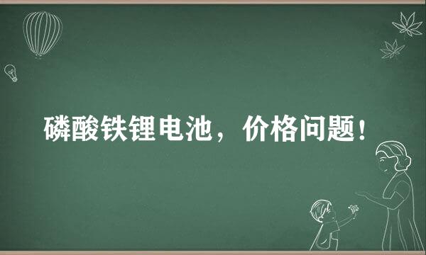 磷酸铁锂电池，价格问题！