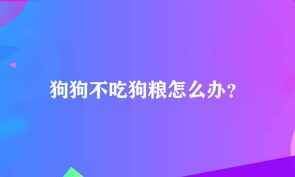 狗狗不吃狗粮怎么办？