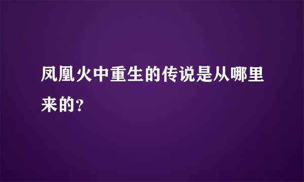 凤凰火中重生的传说是从哪里来的？