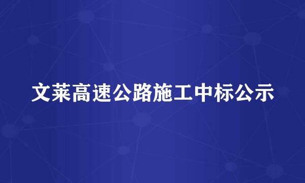 文莱高速公路施工中标公示