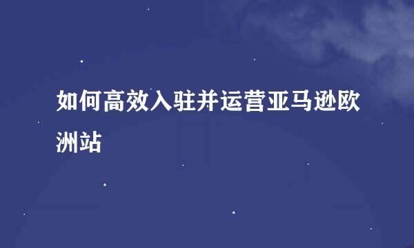 如何高效入驻并运营亚马逊欧洲站