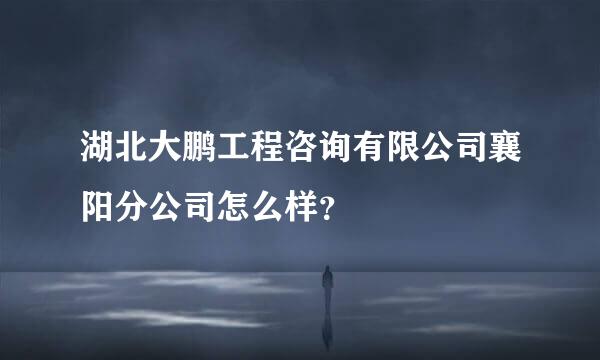 湖北大鹏工程咨询有限公司襄阳分公司怎么样？