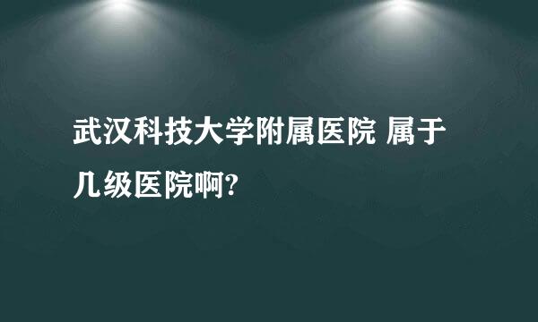 武汉科技大学附属医院 属于几级医院啊?