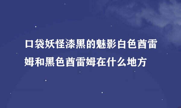 口袋妖怪漆黑的魅影白色酋雷姆和黑色酋雷姆在什么地方