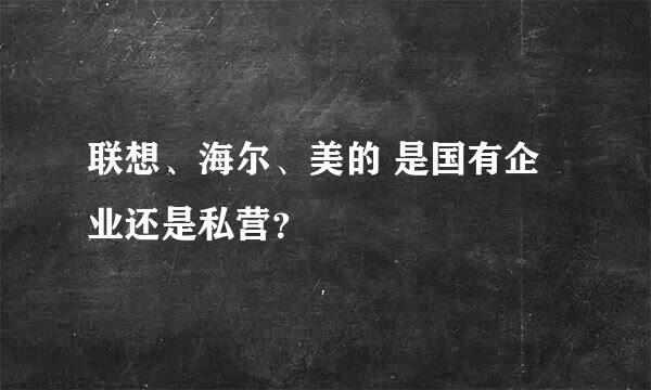 联想、海尔、美的 是国有企业还是私营？