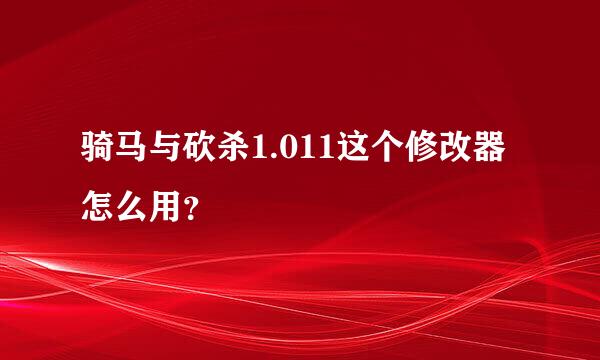 骑马与砍杀1.011这个修改器怎么用？