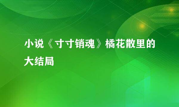 小说《寸寸销魂》橘花散里的大结局