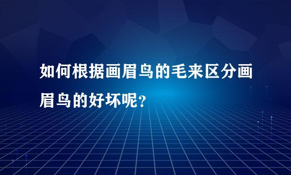 如何根据画眉鸟的毛来区分画眉鸟的好坏呢？