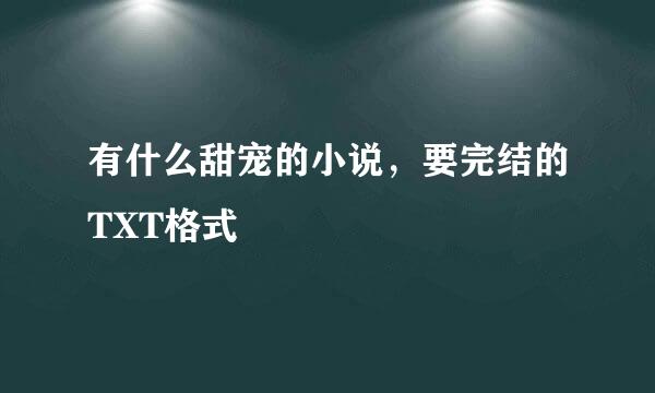 有什么甜宠的小说，要完结的TXT格式