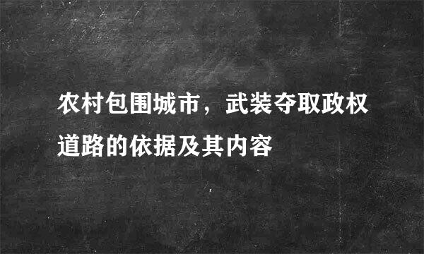 农村包围城市，武装夺取政权道路的依据及其内容