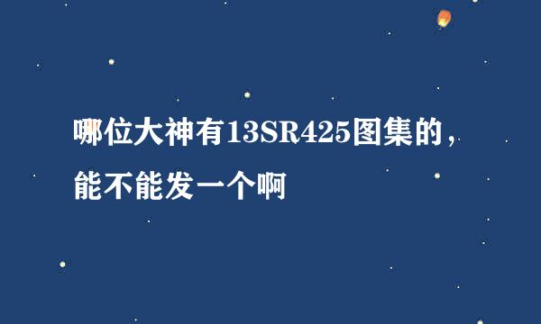 哪位大神有13SR425图集的，能不能发一个啊