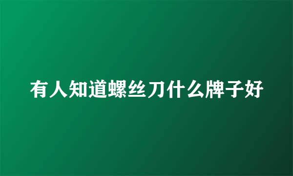 有人知道螺丝刀什么牌子好