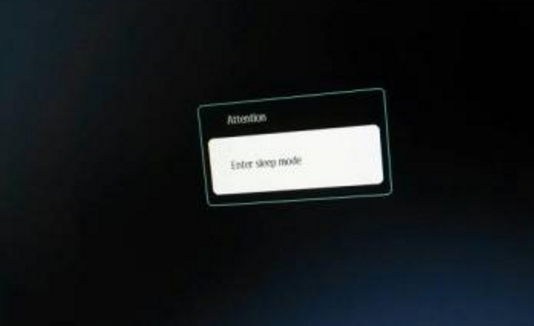 电脑开不了机 显示no video input 后显示 Enter sleep mode
