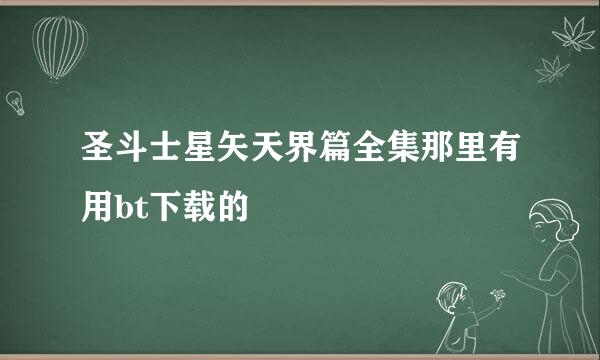 圣斗士星矢天界篇全集那里有用bt下载的