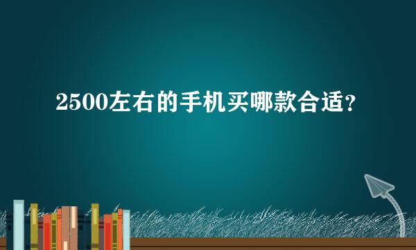 2500左右的手机买哪款合适？