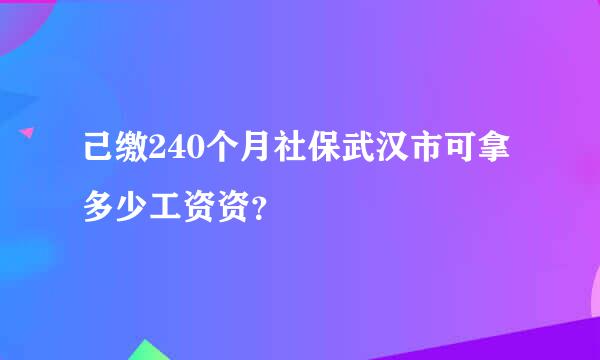 己缴240个月社保武汉市可拿多少工资资？