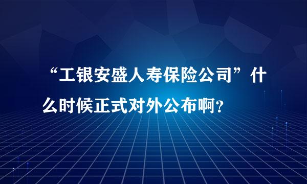 “工银安盛人寿保险公司”什么时候正式对外公布啊？