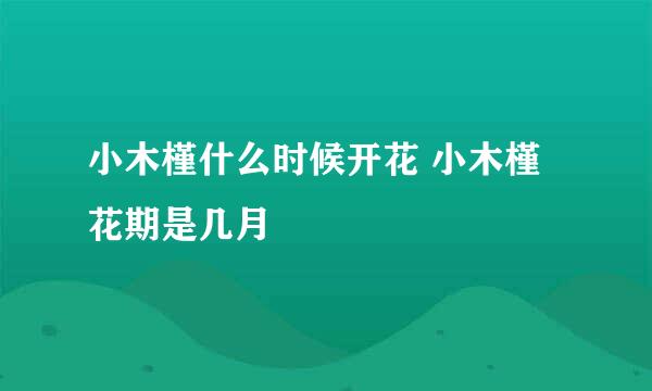 小木槿什么时候开花 小木槿花期是几月