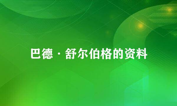 巴德·舒尔伯格的资料