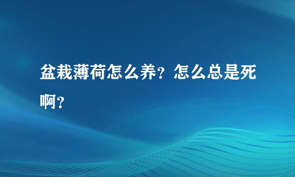 盆栽薄荷怎么养？怎么总是死啊？