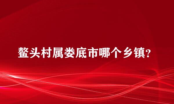 鳌头村属娄底市哪个乡镇？