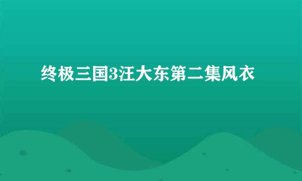 终极三国3汪大东第二集风衣