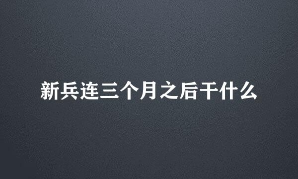 新兵连三个月之后干什么