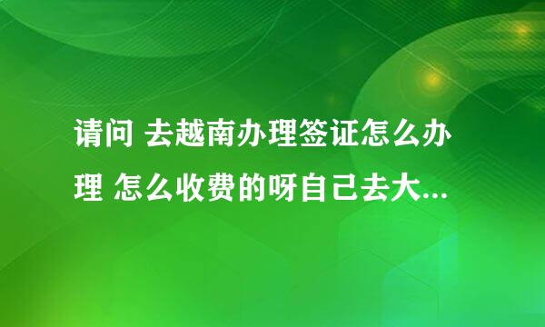 请问 去越南办理签证怎么办理 怎么收费的呀自己去大使馆办理收费多少？