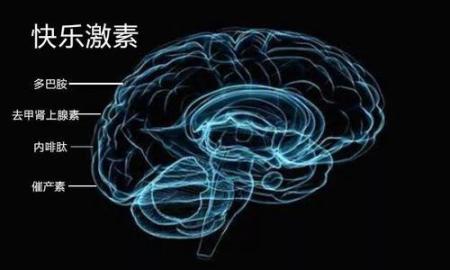 动物并不懂繁衍的意义，却保持着两性行为，是谁在背后操控？