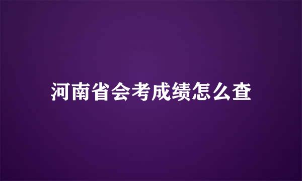 河南省会考成绩怎么查