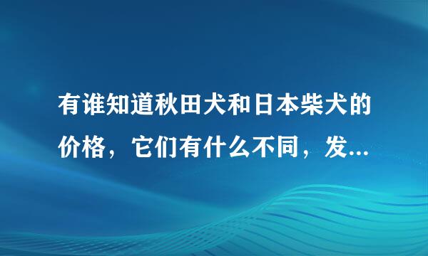 有谁知道秋田犬和日本柴犬的价格，它们有什么不同，发下图片被