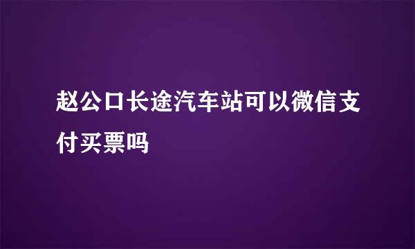 赵公口长途汽车站可以微信支付买票吗