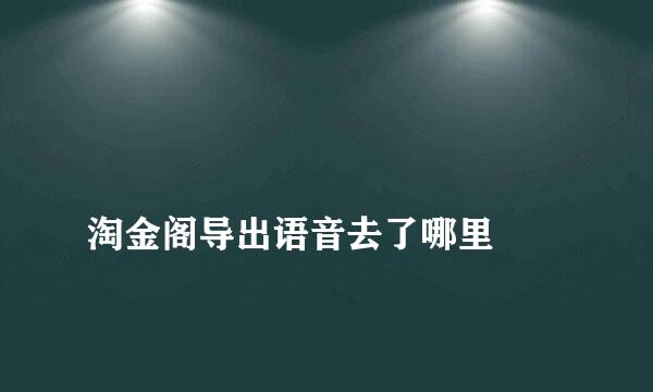 
淘金阁导出语音去了哪里
